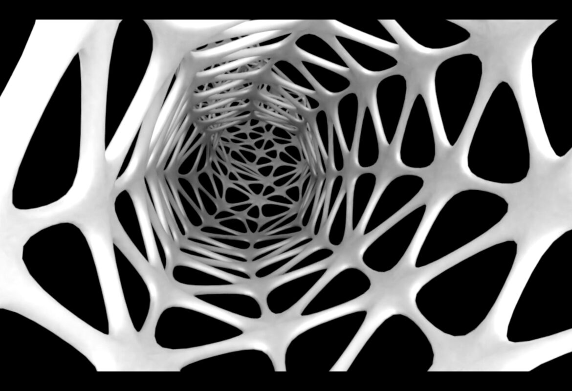 How to create Lattice Gradients for 3D Printing – RomanReiner